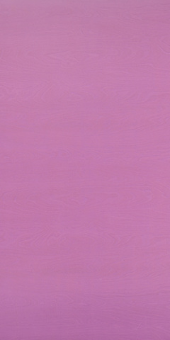 Lilac Purple RAL 310 60 35