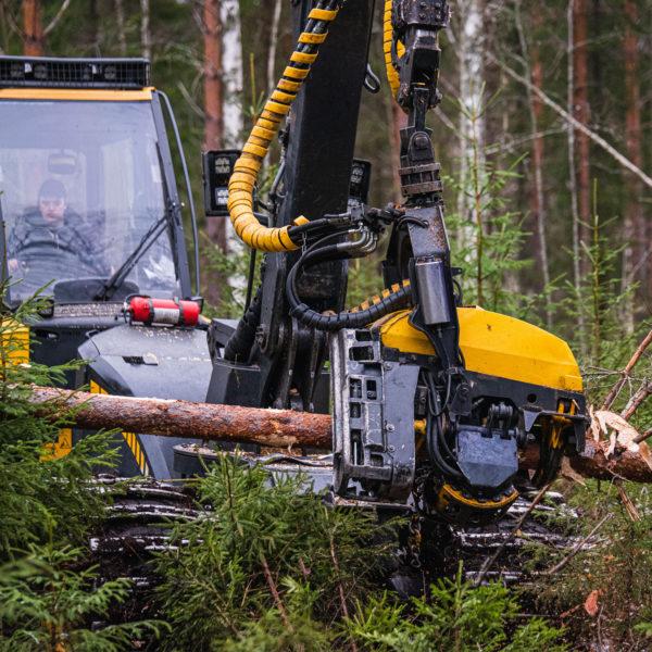 Moto harventamassa metsää