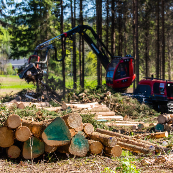Haemme kumppaneita metsäkoneurakointiin Heinolan, Sysmän, Rengon ja Tampereen alueille.