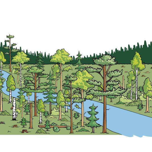 Puun alkuperä tunnetaan metsästä tehtaalle asti